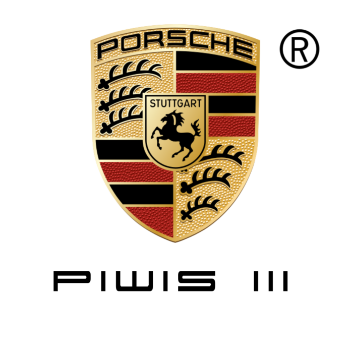 Porsche Piwis 3 Diagnostic Tool - Official Software