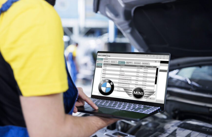 Employee checks car with mockup laptop